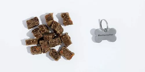 What to Put on a Dog's ID Tag